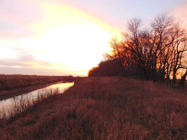 7 Acres Sw Se N Of River, Saunemin, IL 61769