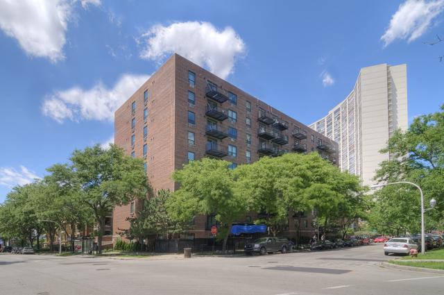 3900 N Pine Grove Ave. #310, Chicago, IL 60613