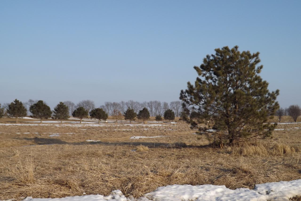 1578 Atkinson Rd., Dixon, IL 61021