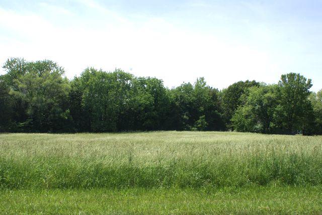 Lot 333 Lake Wildwood Dr., Varna, IL 61375