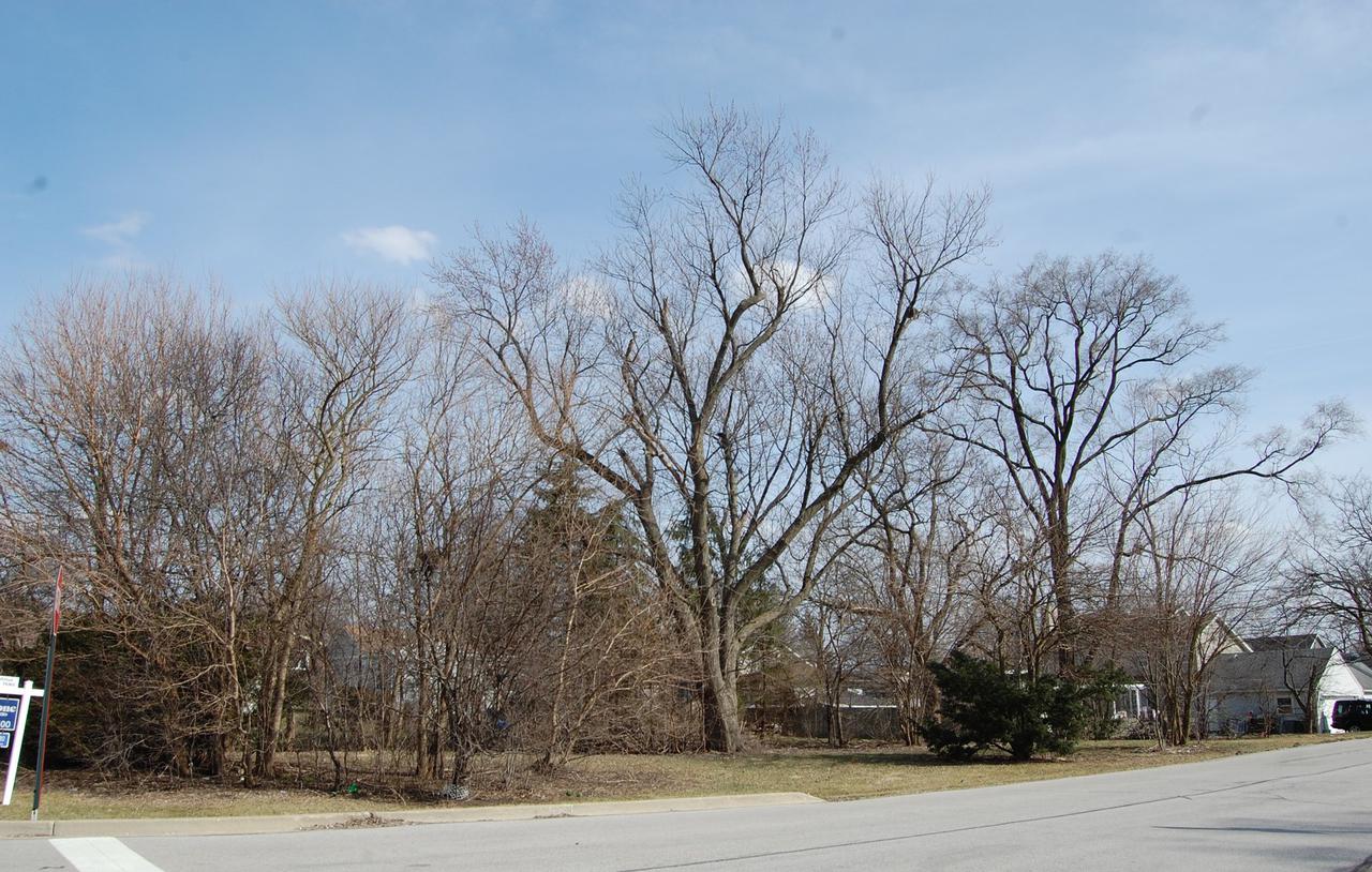 6303 Carpenter St., Downers Grove, IL 60516