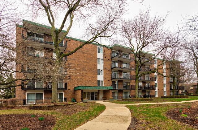 5S040 Pebblewood Ln. #E208, Naperville, IL 60563