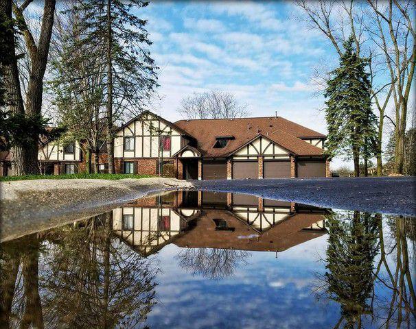 8254 Chestnut Dr. #41B, Palos Hills, IL 60465