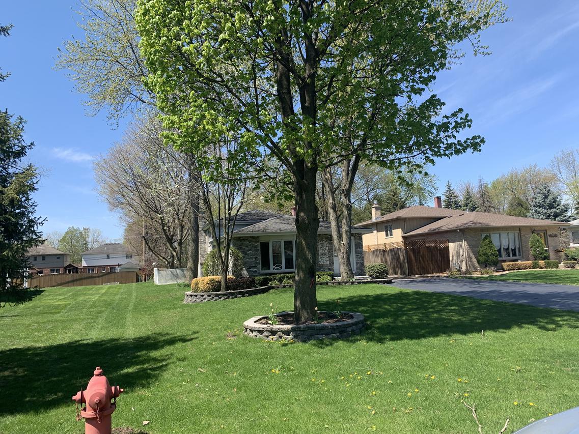 11202 S Leclaire Ave., Alsip, IL 60803