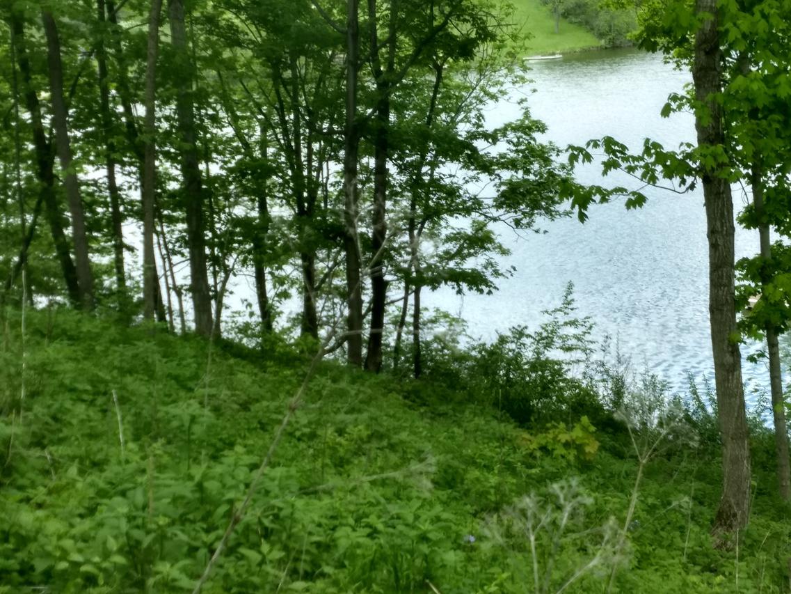 18 Magnolia Ct., Putnam, IL 61560