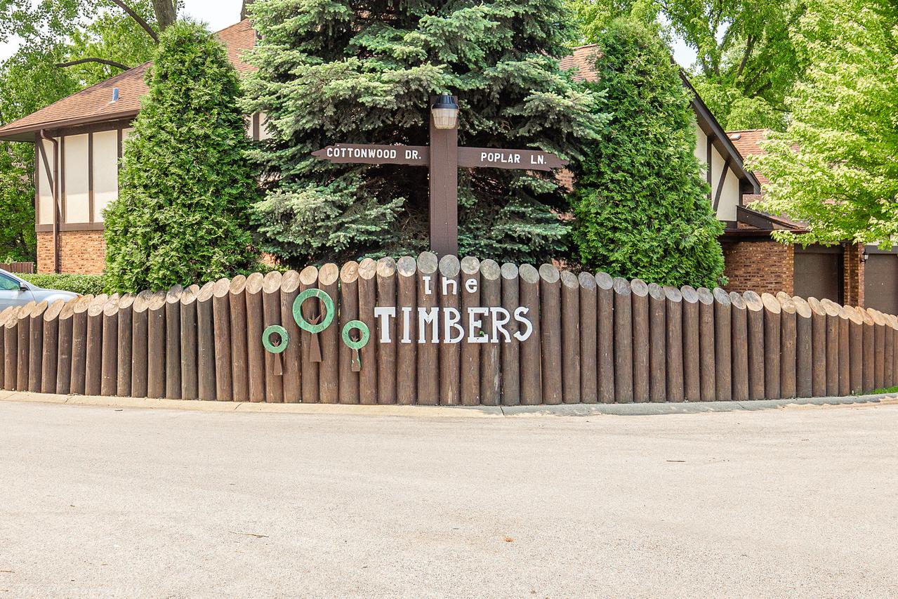 11111 Cottonwood Dr. #2C, Palos Hills, IL 60465