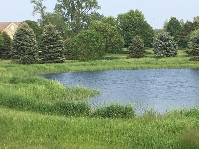 17401 Wildflower Cir., Union, IL 60180