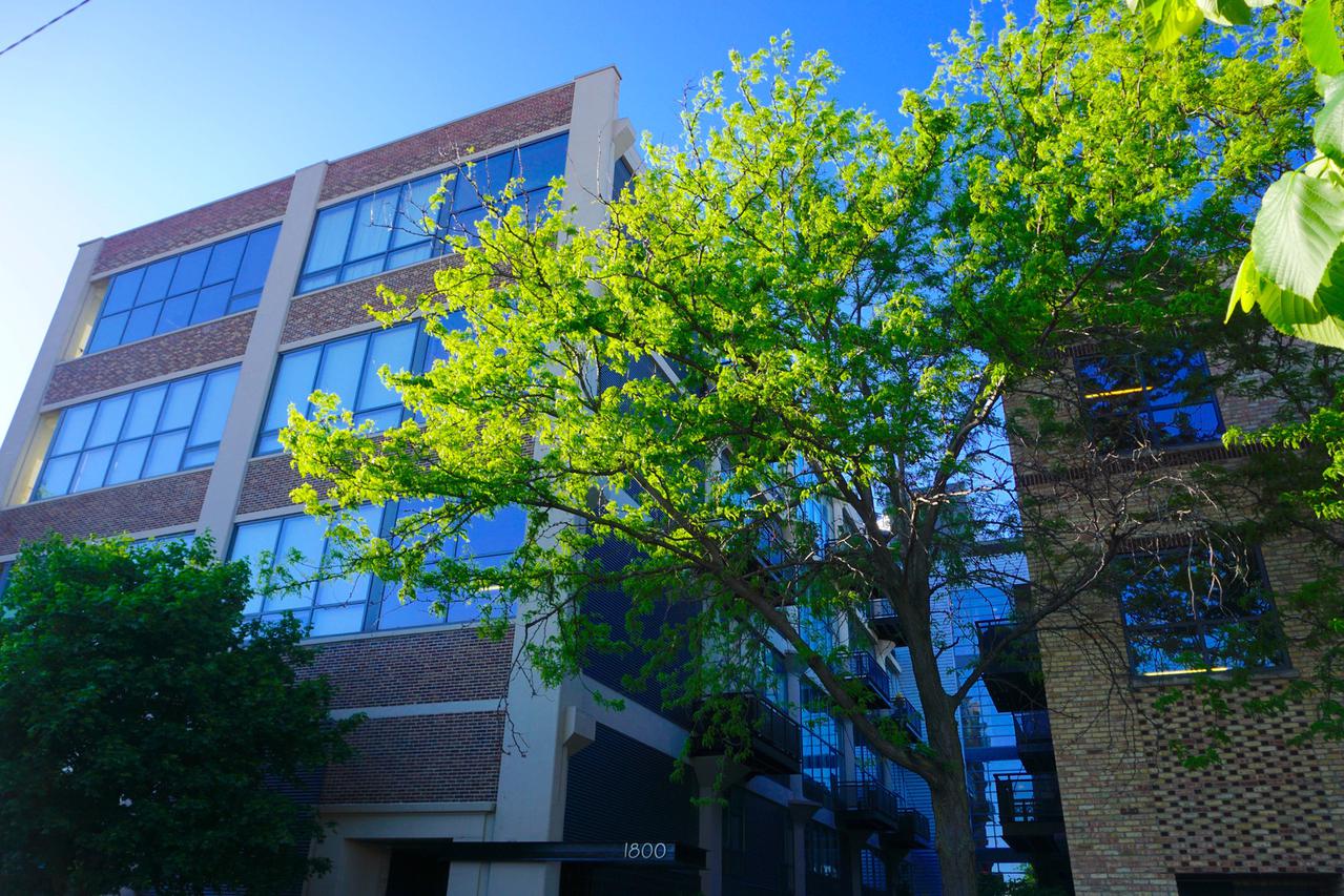 1800 W Grace St. #426, Chicago, IL 60613