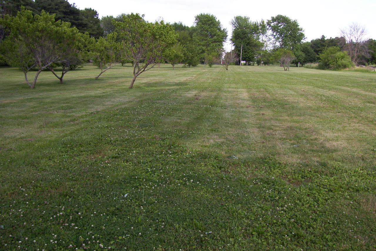 2.26 Acres, Deland, IL 61839