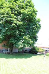 1115 S Elmwood Ave., Waukegan, IL 60085
