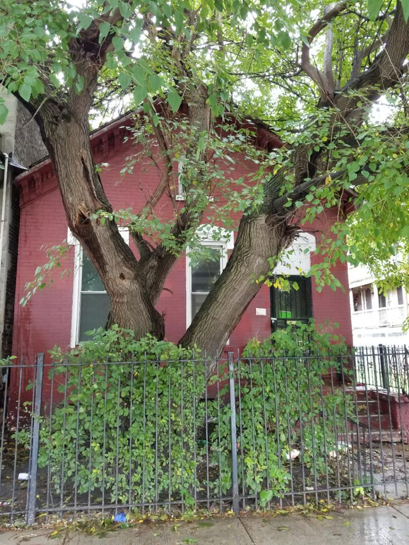1241 S California Ave., Chicago, IL 60608