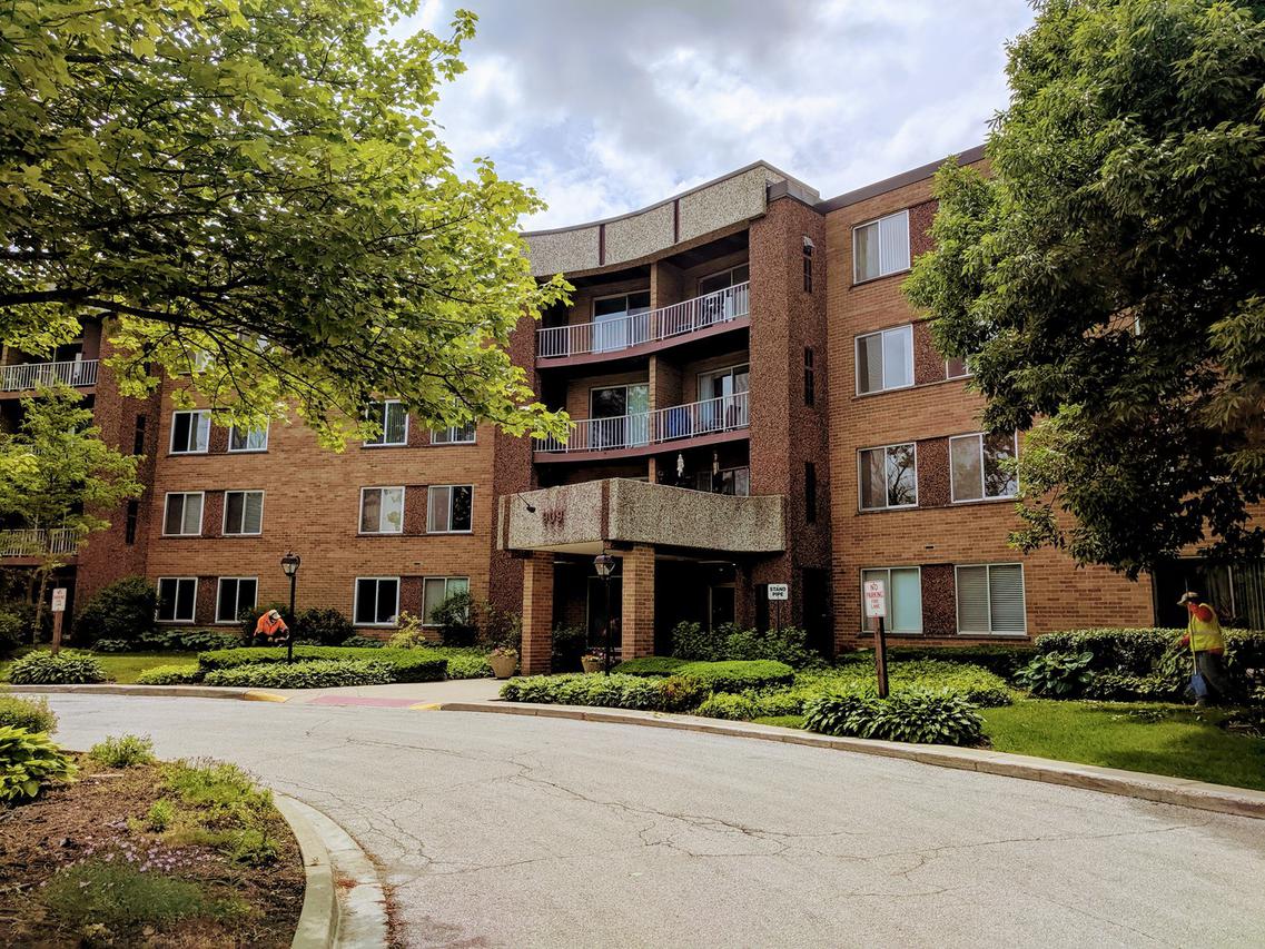 909 E Kenilworth Ave. #225, Palatine, IL 60074