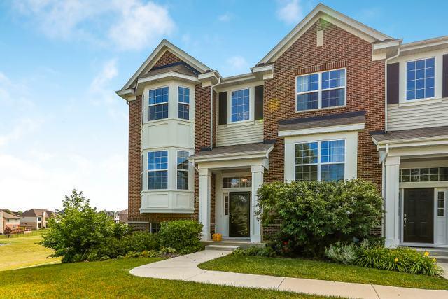16761 Brighton Dr., Lemont, IL 60439