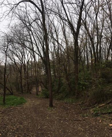 Townline Rd., Lanark, IL 61046