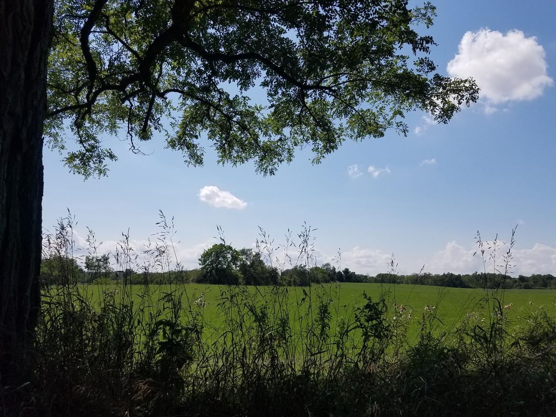 Lot 1 S Fleming Rd., Bull Valley, IL 60098
