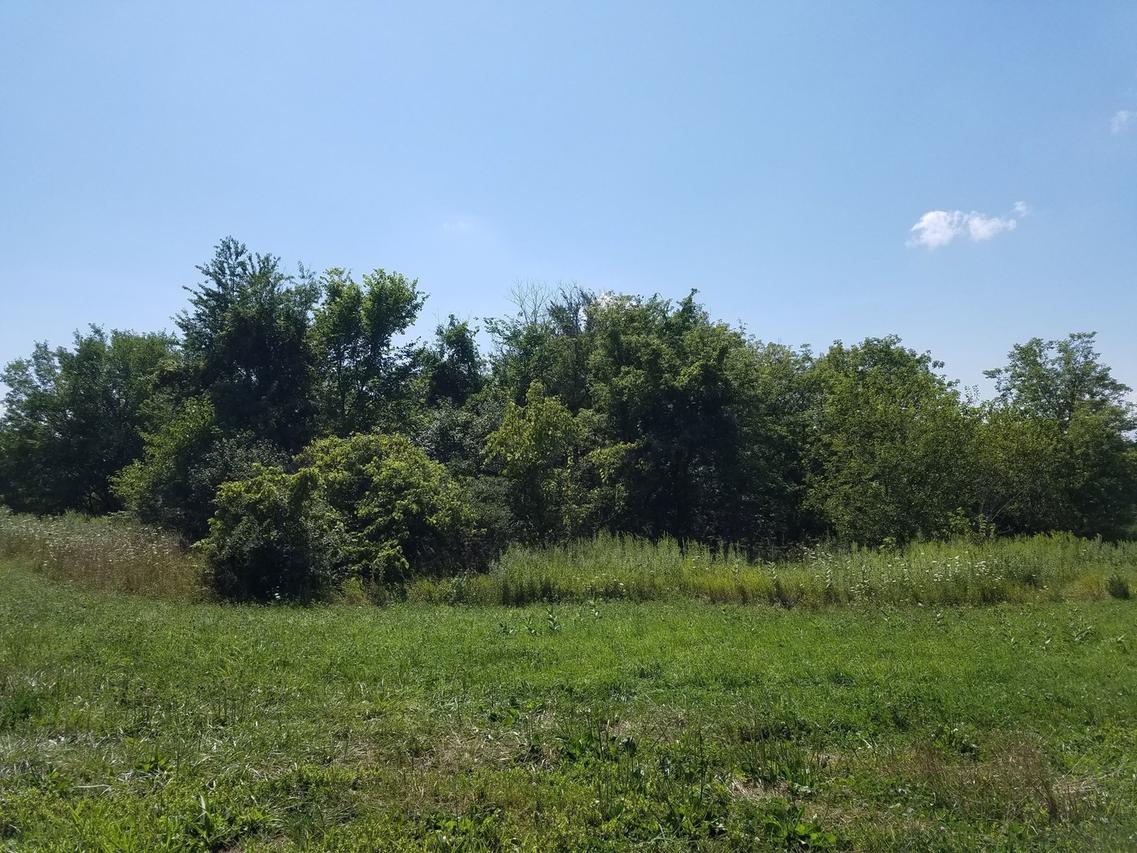 Lot 3 Country Club Rd., Bull Valley, IL 60098