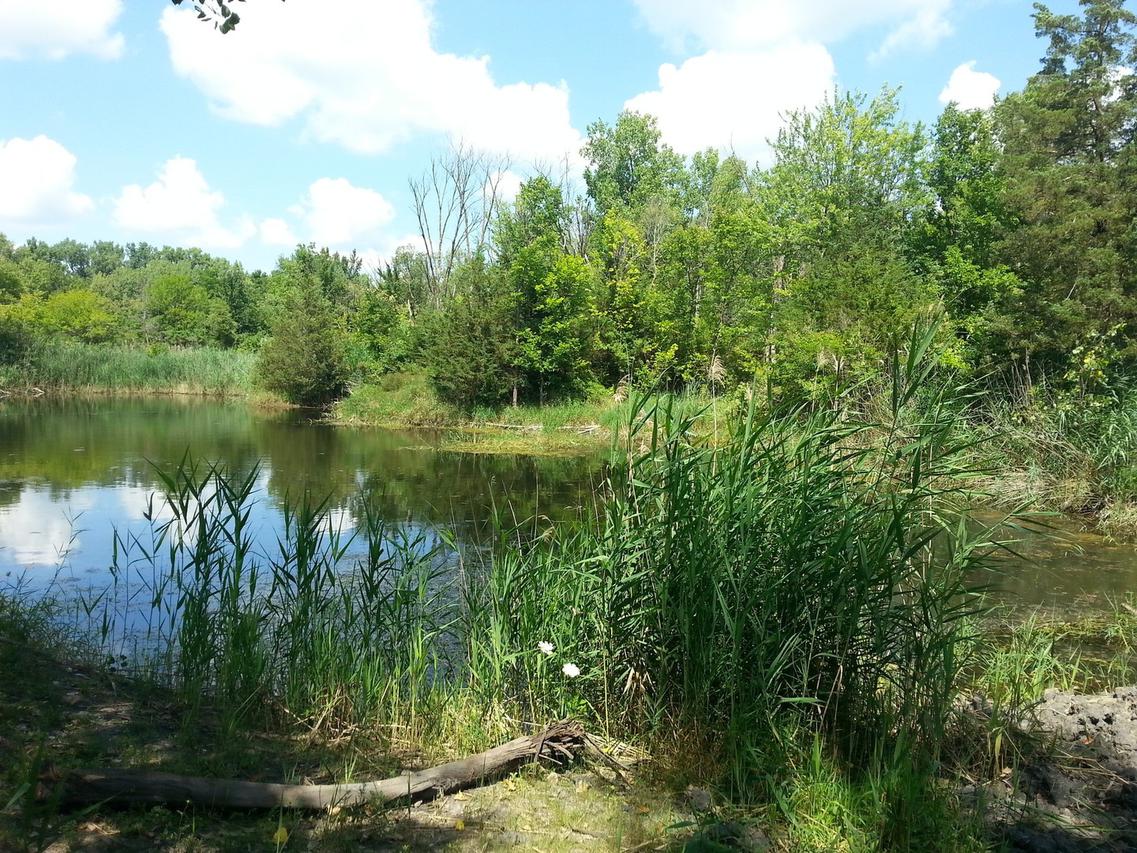 17547 E 2350 St., Atkinson, IL 61235