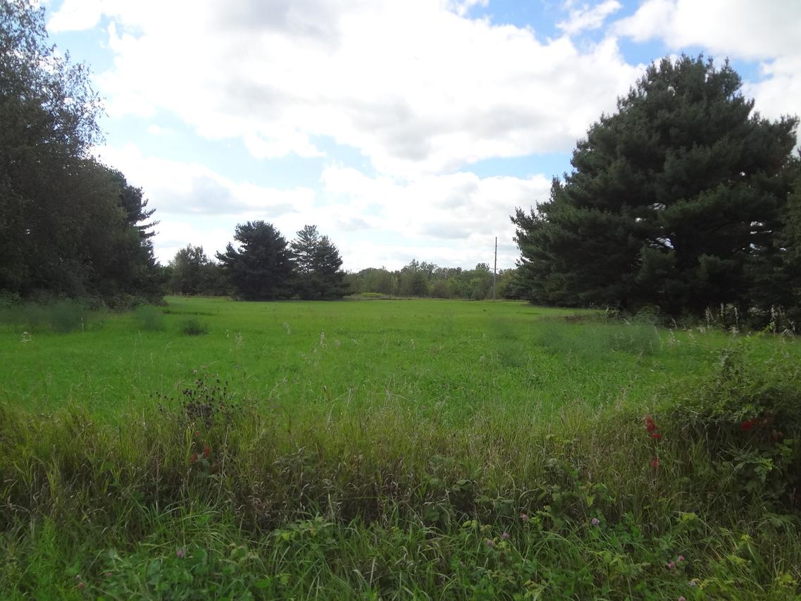0000 S Madison St., Clinton, IL 61727