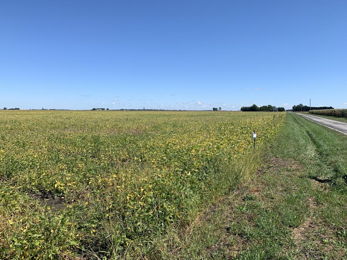 102 County Road 1575, Arcola, IL 61910