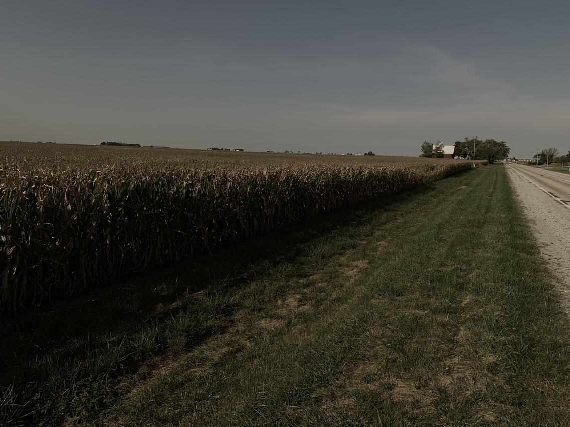 199 Us Hwy 133, Arcola, IL 61910