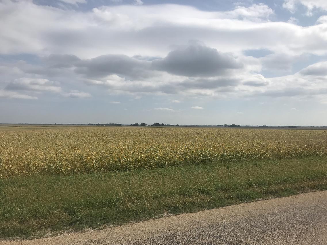 Lot 2 E 9th Rd., Utica, IL 61373