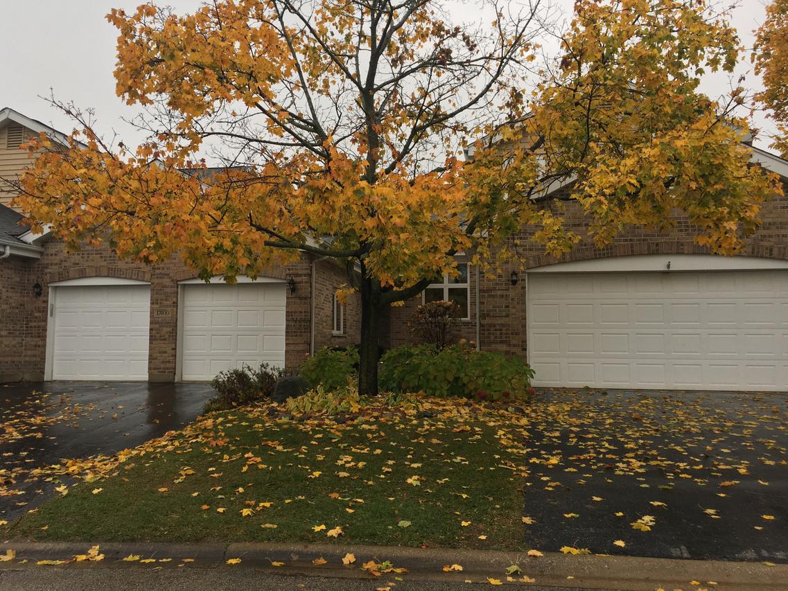 17400 Brook Crossing Ln., Orland Park, IL 60467