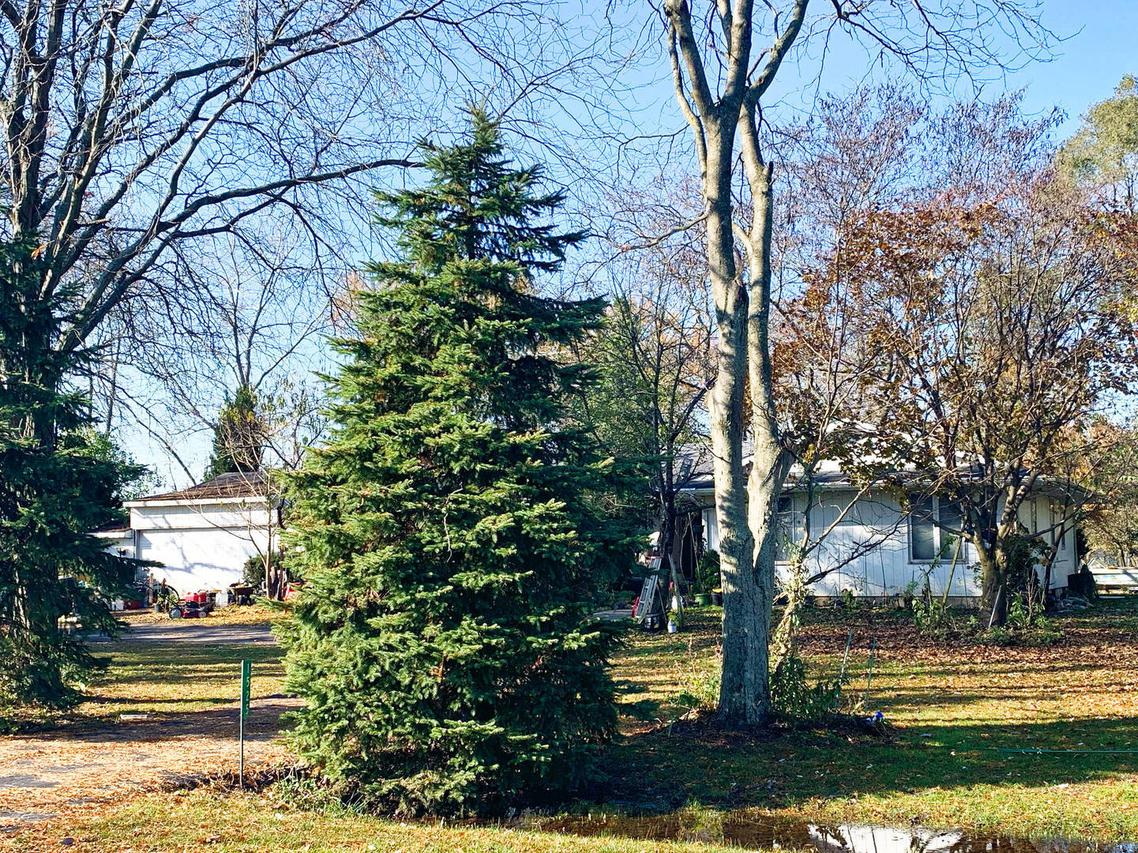 1525 N Tony Cove Ln., Coal City, IL 60416