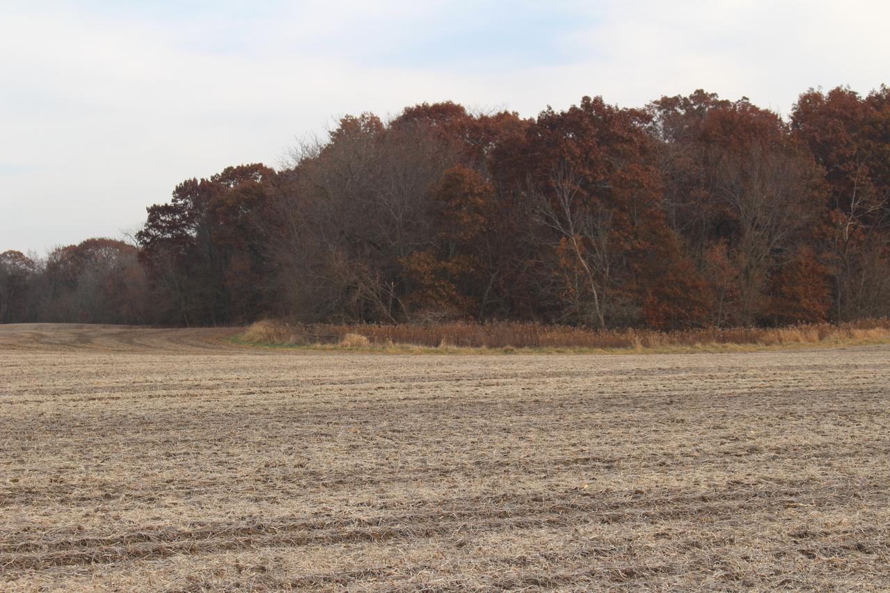 5550 Park Rd., Clinton, IL 61727