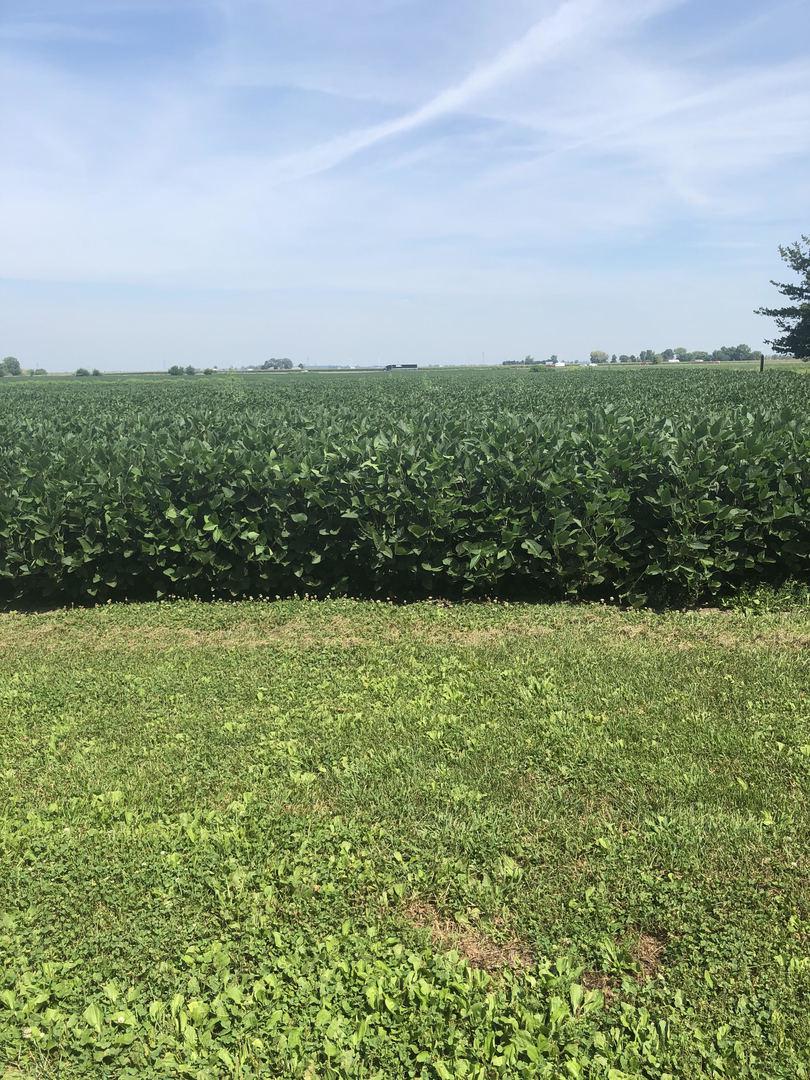 LOT 7 E Kyle St., Ogden, IL 61859