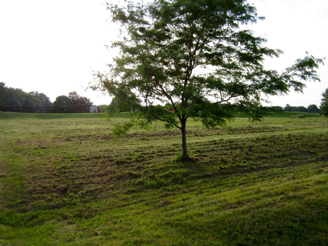 Lot 59 Madeline Dr., Yorkville, IL 60560