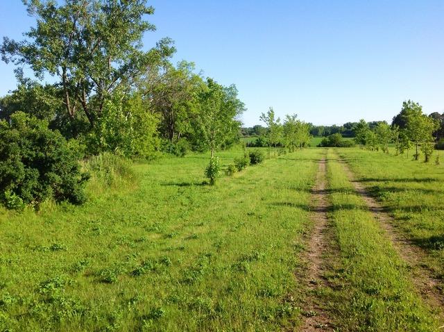 LOT Beck Rd., Marengo, IL 60152
