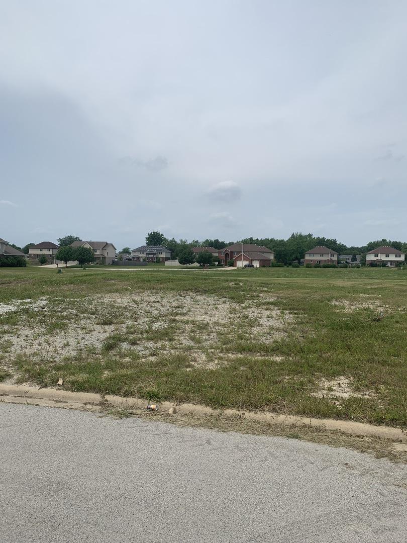 Lot 36 Ribbon Dr., Monee, IL 60449
