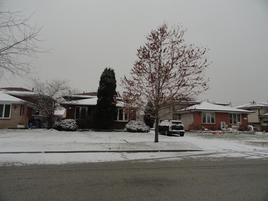 14542 Mozart Ave., Posen, IL 60469