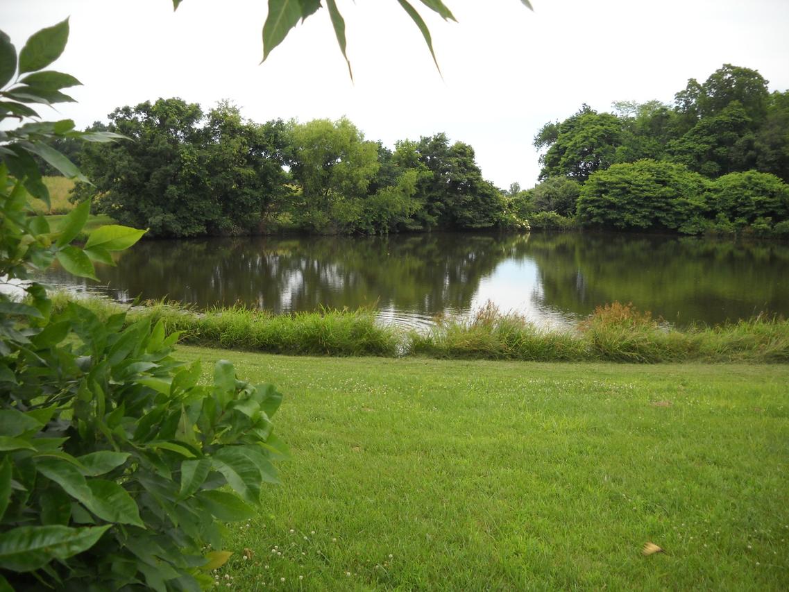 1285 Milligan Hill Rd., Alto Pass, IL 62905