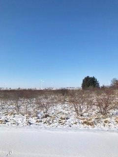 138 Tamarind Ct., Cabery, IL 60919