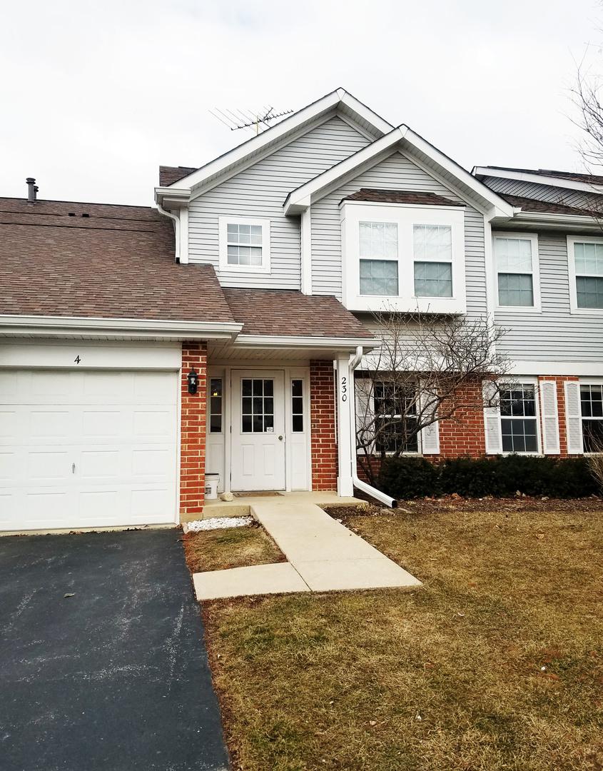 230 Ashbury Ct. #3, Roselle, IL 60172