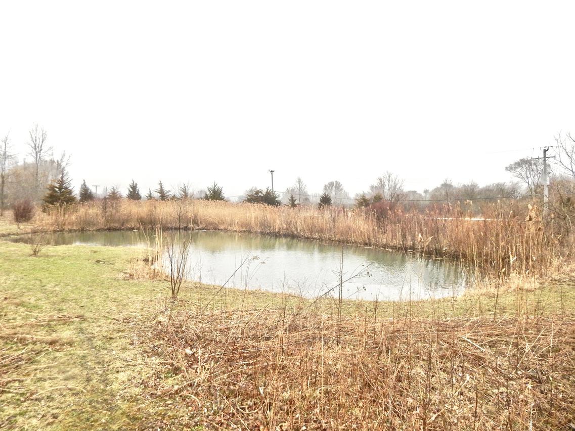 9700 W Kuse Rd., Frankfort, IL 60423