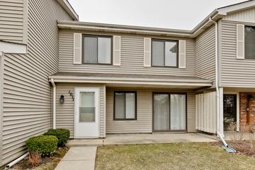 1011 Polk Ct., Vernon Hills, IL 60061