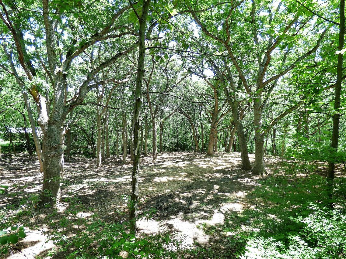 103A W County Line Rd., Barrington Hills, IL 60010