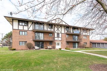 11042 S Theresa Cir. #2C, Palos Hills, IL 60465