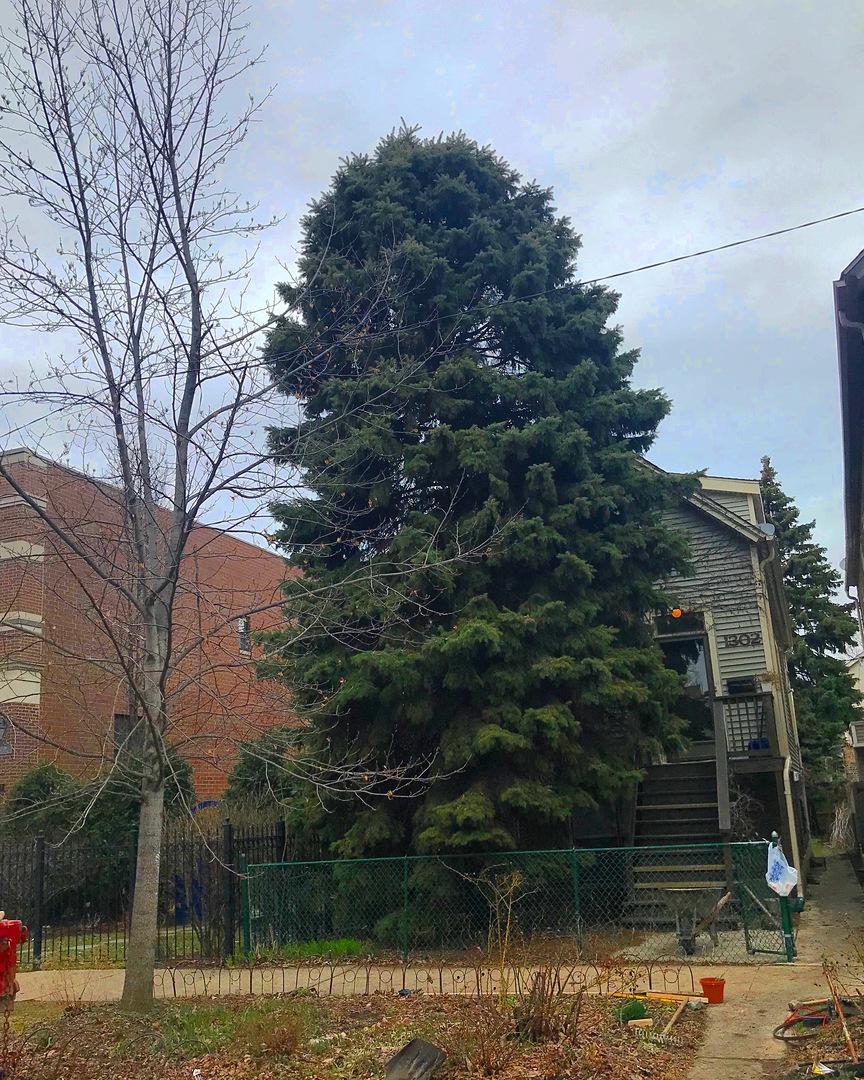 1302 W Wellington Ave., Chicago, IL 60657