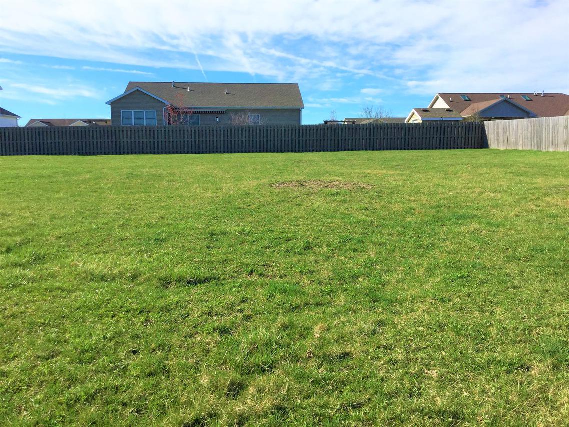 311 Robert Dr., Fisher, IL 61843