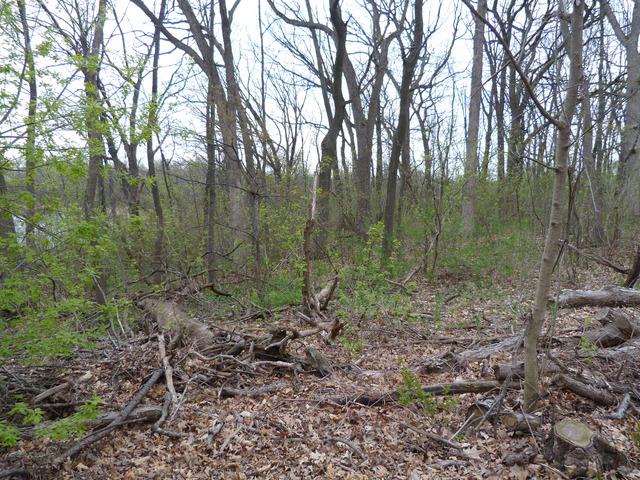 22145 W White Pine Rd., Kildeer, IL 60047