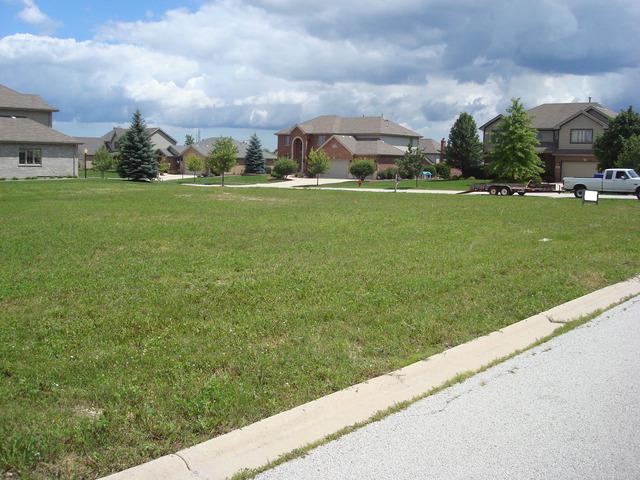 22672 Joshua Dr., Frankfort, IL 60423