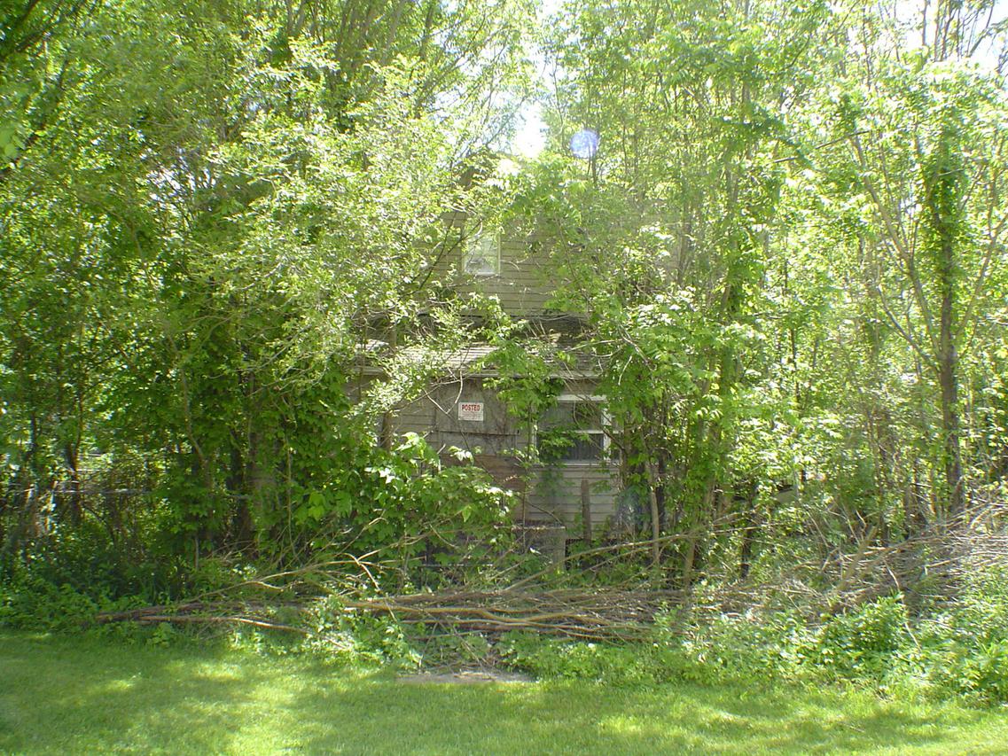 11506 E Keyser St., Momence, IL 60954
