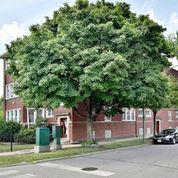 4410 N Long Ave. #1, Chicago, IL 60630