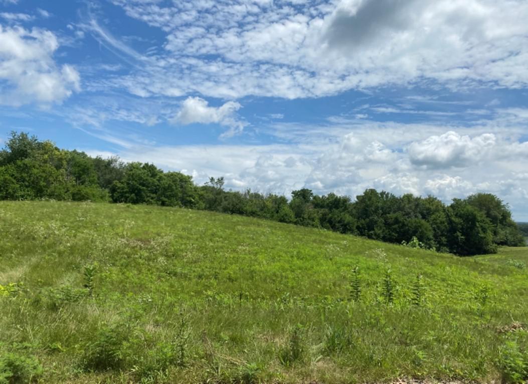 Lot 31 Deere Run Rd., Fenton, IL 61251
