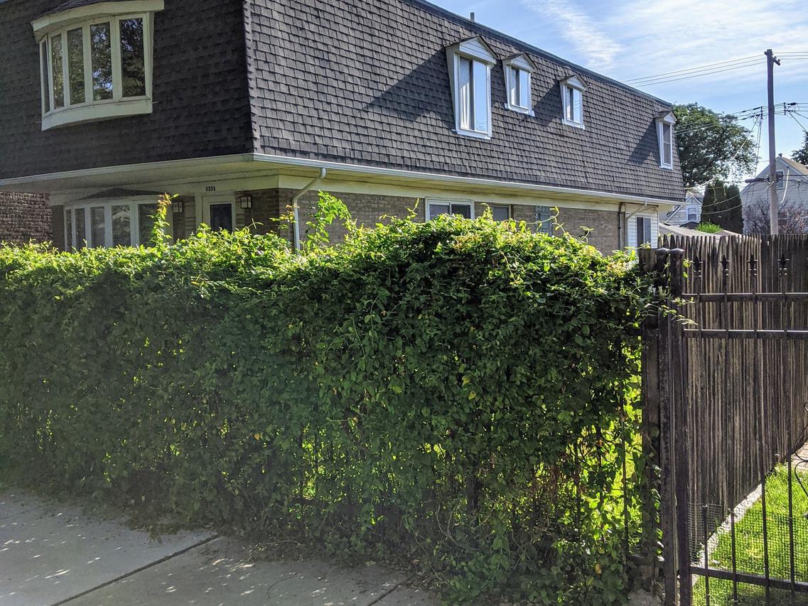 3335 S Racine Ave., Chicago, IL 60608