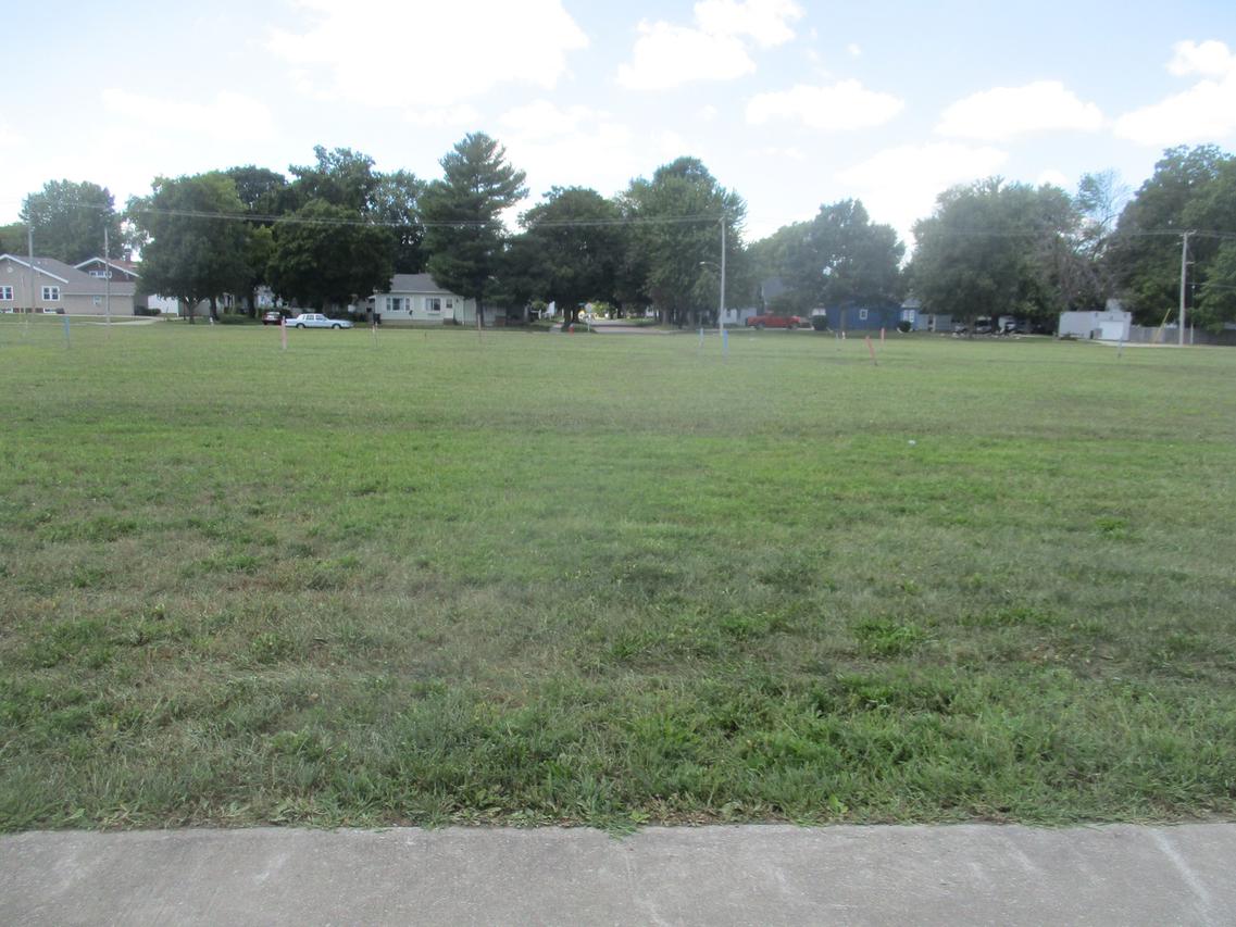 305 N Niles Ave., Tuscola, IL 61953