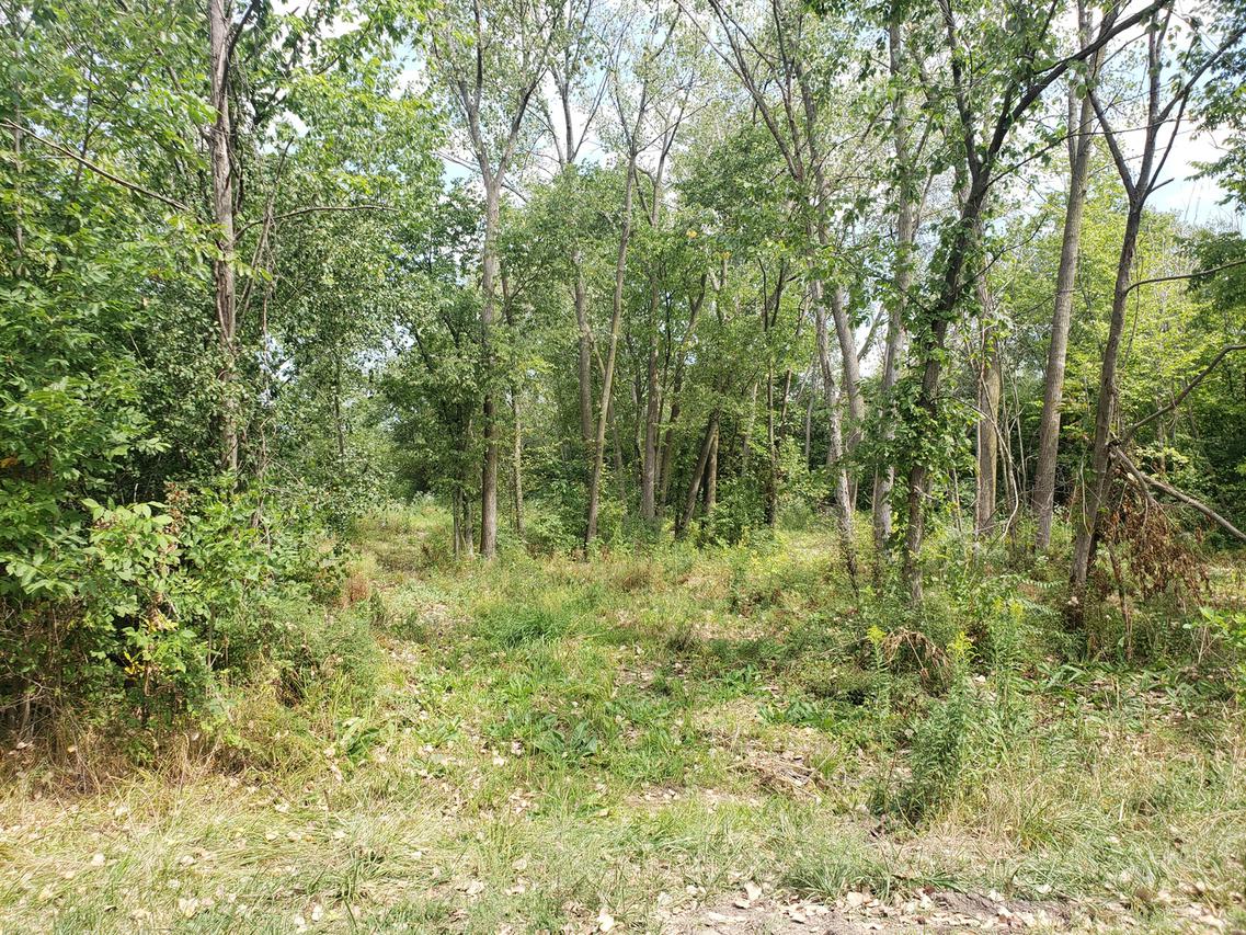 9 Longwood Way, Lemont, IL 60439